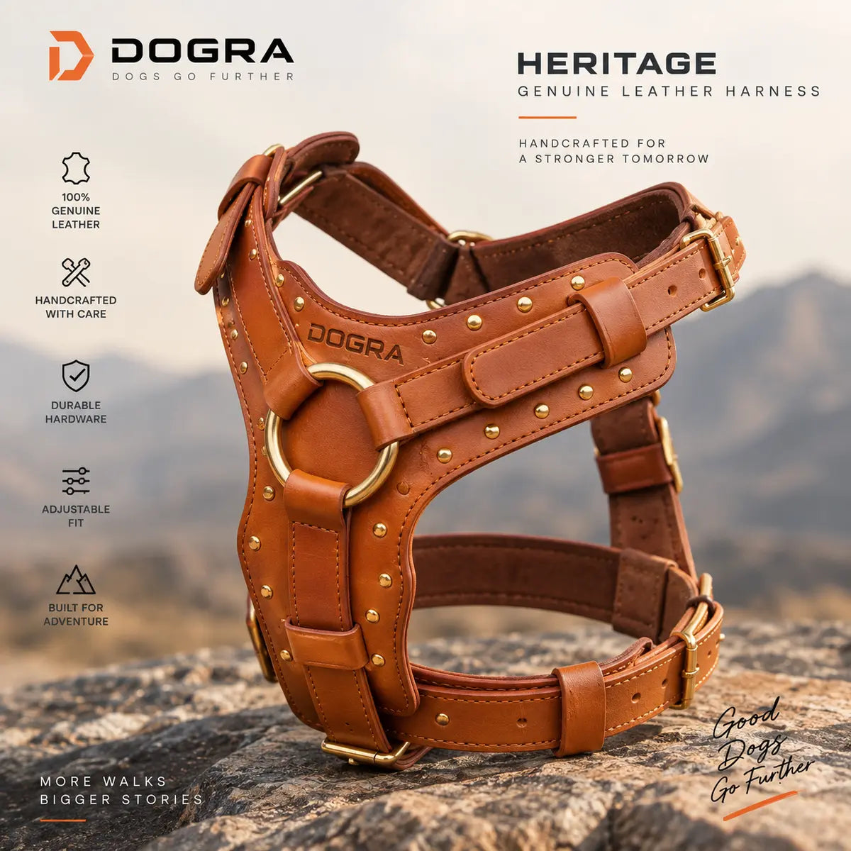 Close-up of DOGRA handcrafted leather harness